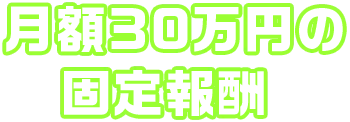 月額30万円の固定報酬